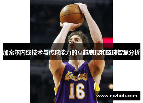 加索尔内线技术与传球能力的卓越表现和篮球智慧分析